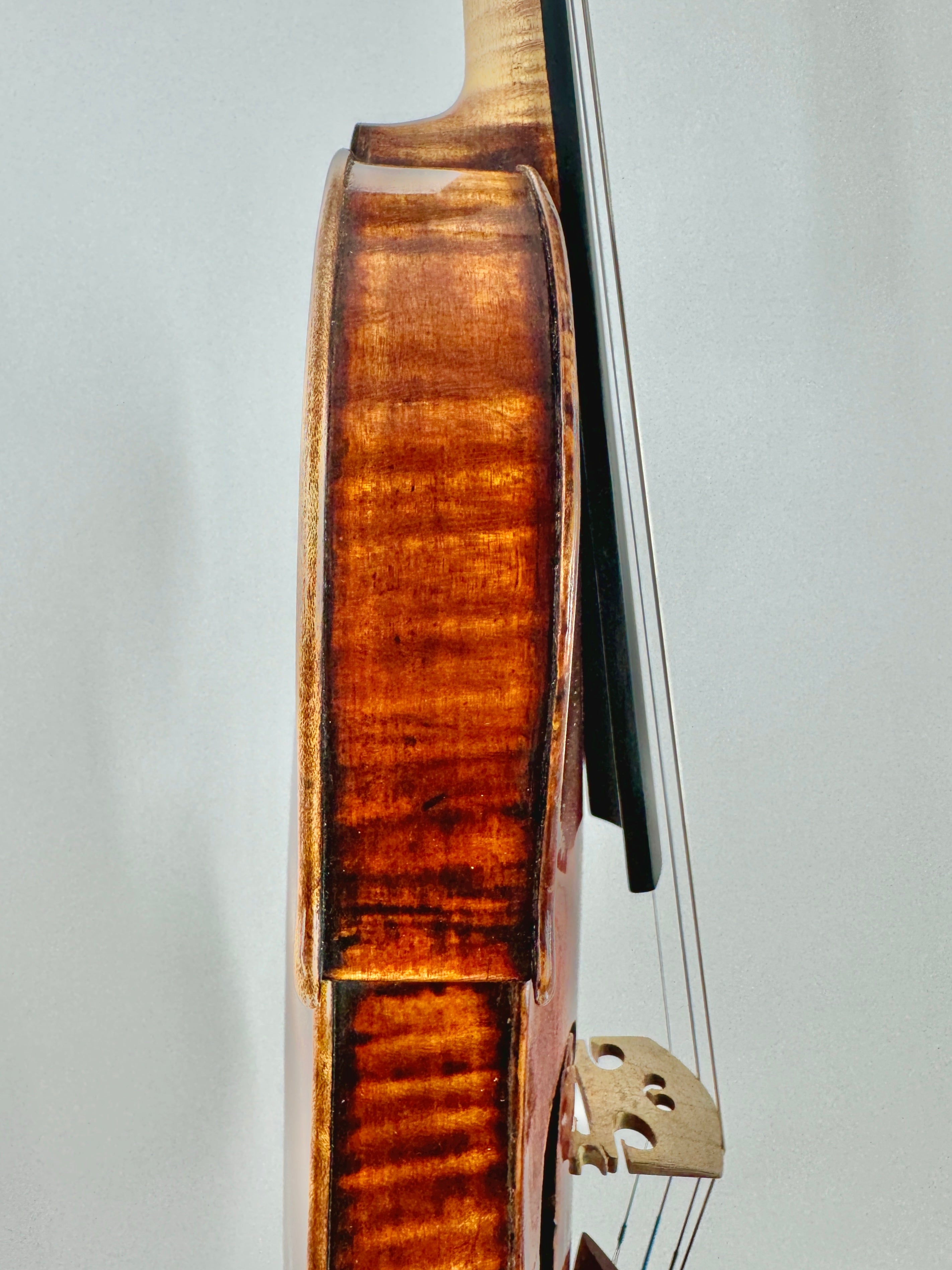 Antonio Stradivari, Cremona, 1737, the 'McKay'